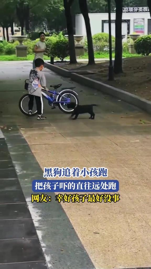 黑狗追着小孩跑,把孩子吓得直往远处跑!!!