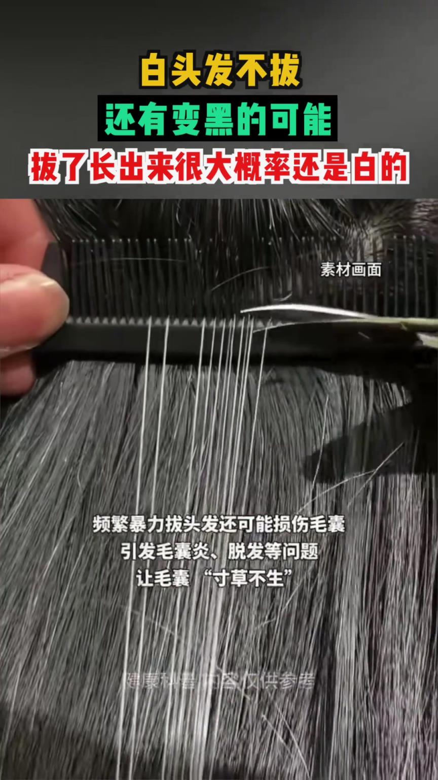 白头发不拔还有变黑的可能 ，拔了长出来很大概率还是白的。
