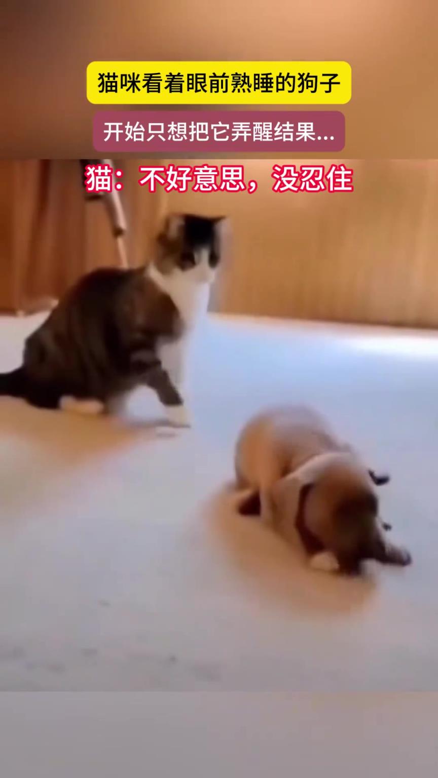 猜中開頭，沒猜中結尾…