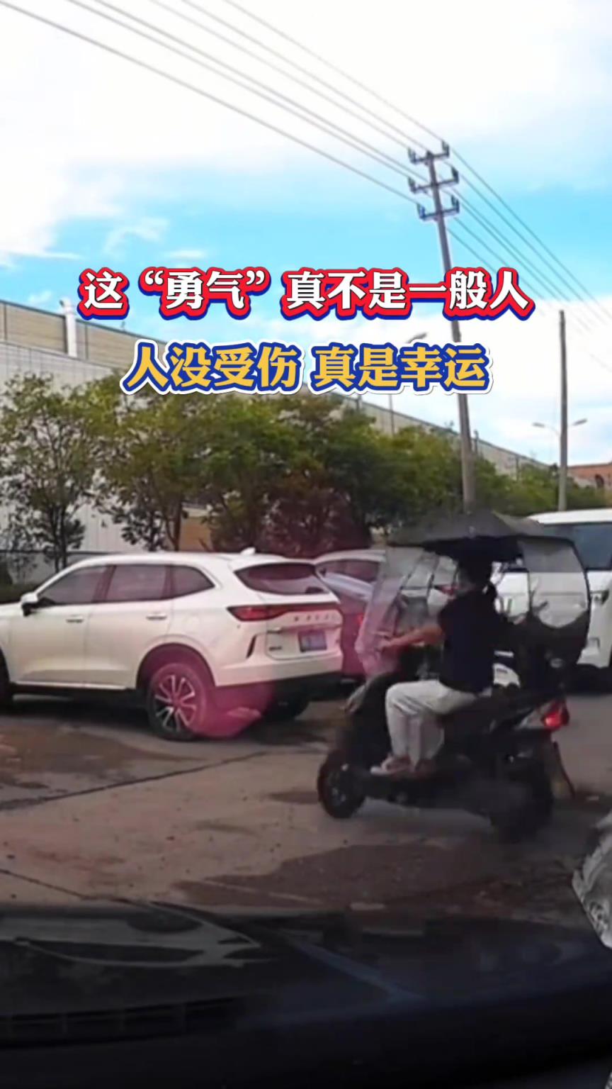 到底在想什么？这都能撞上去！