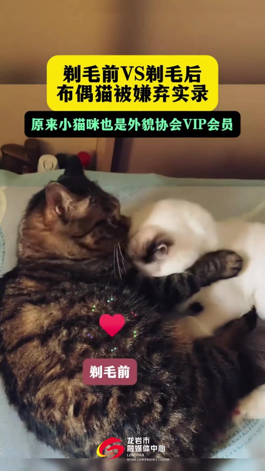 剃毛前VS剃毛后！