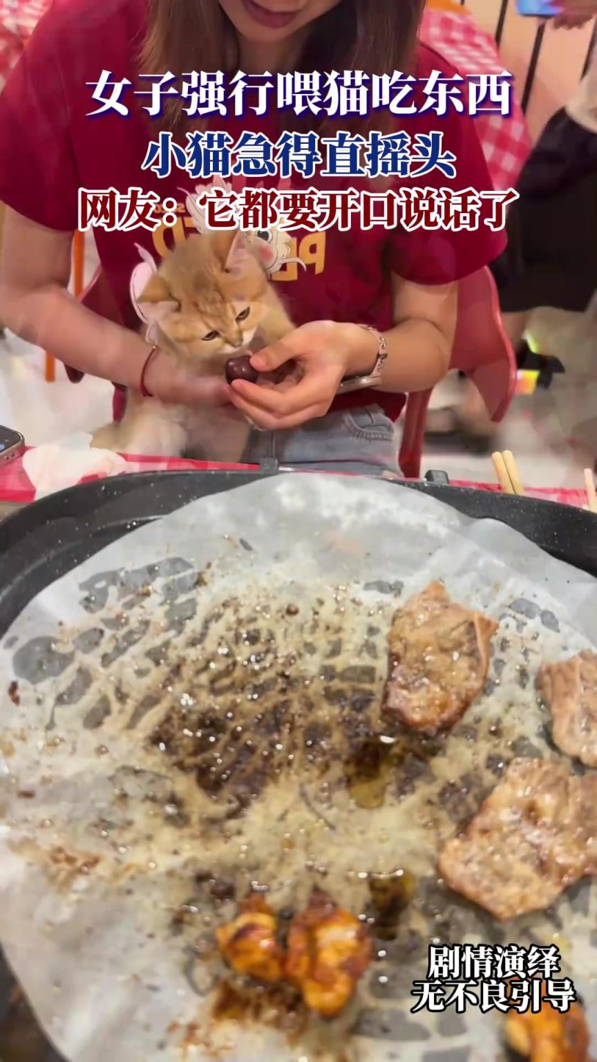 女子强行喂猫吃东西，小猫急得直摇头，网友：它都要开口说话了