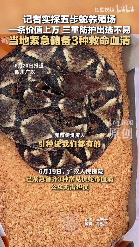 记者实探五步蛇养殖场 一条价值上万 三重防护出逃不易