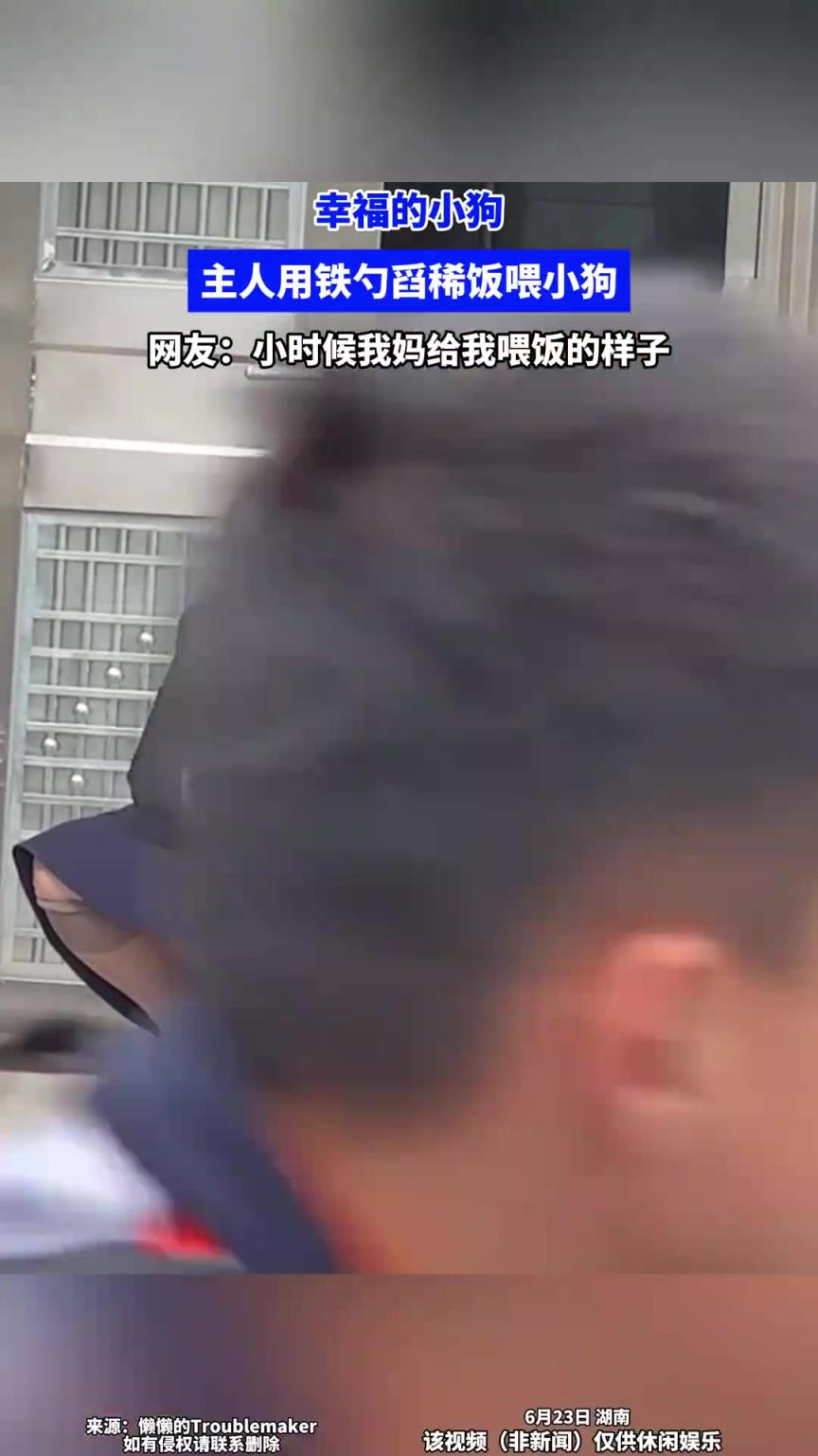 主人用铁勺舀稀饭喂小狗
