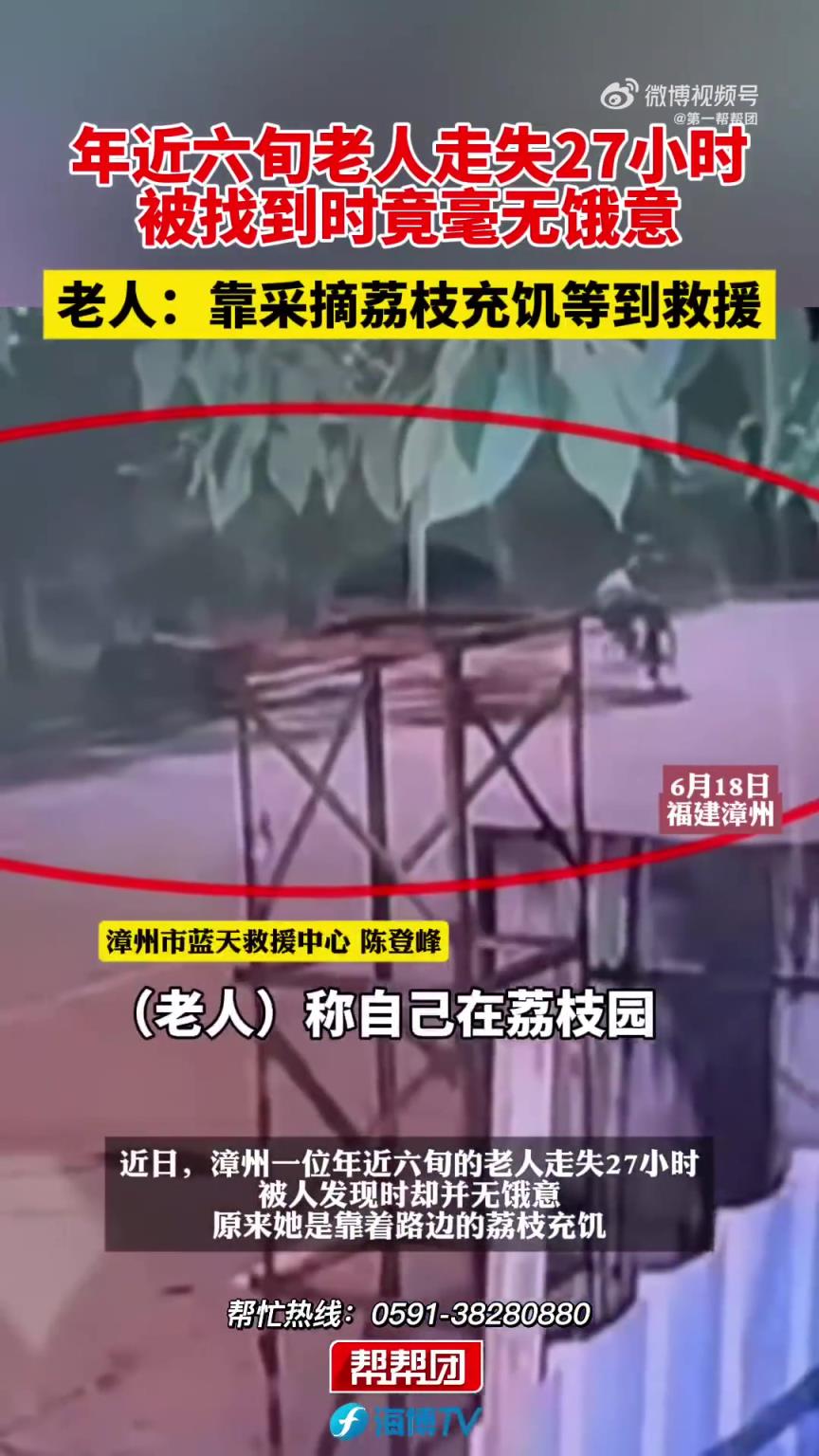 老人走失27小时，被找到时竟毫无饿意，老人：靠采摘荔枝充饥