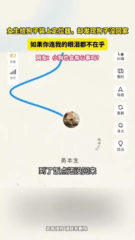女生給狗子裝上定位器，卻發(fā)現(xiàn)狗子趴在河邊。