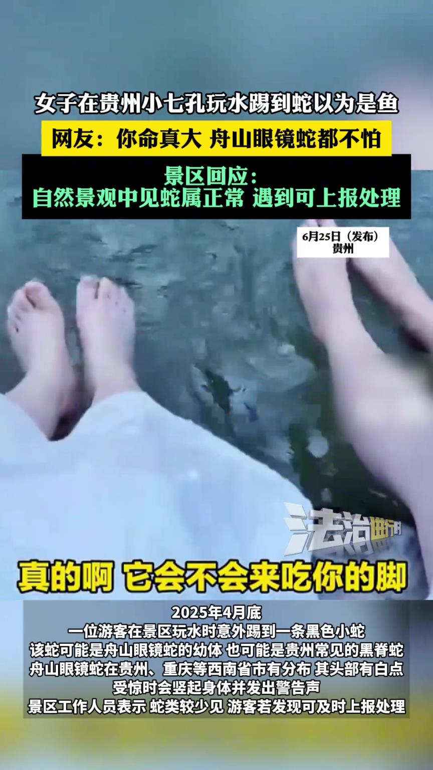 女子在貴州小七孔玩水踢到蛇以為是魚
