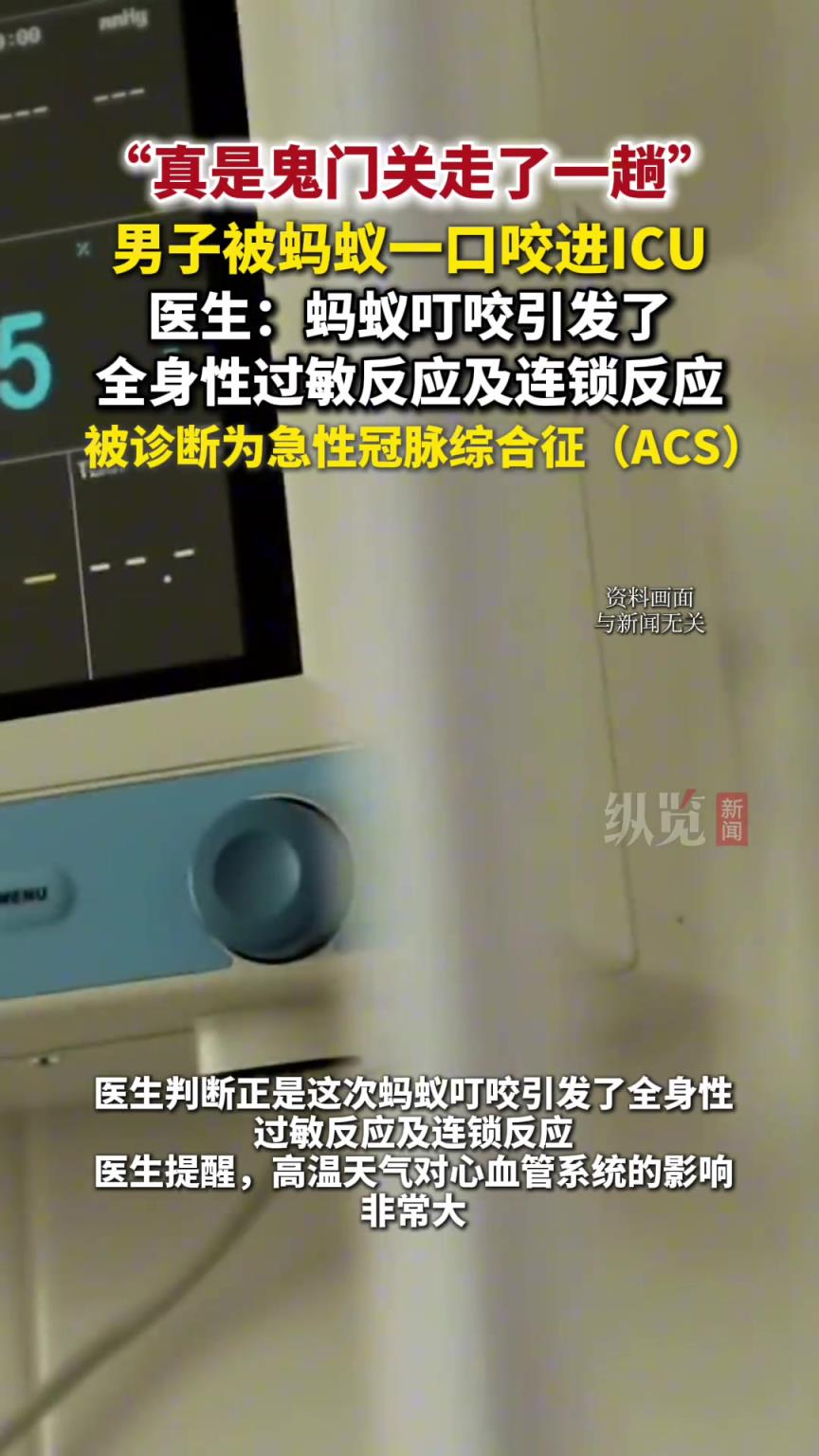 48岁男子被蚂蚁一口咬进ICU