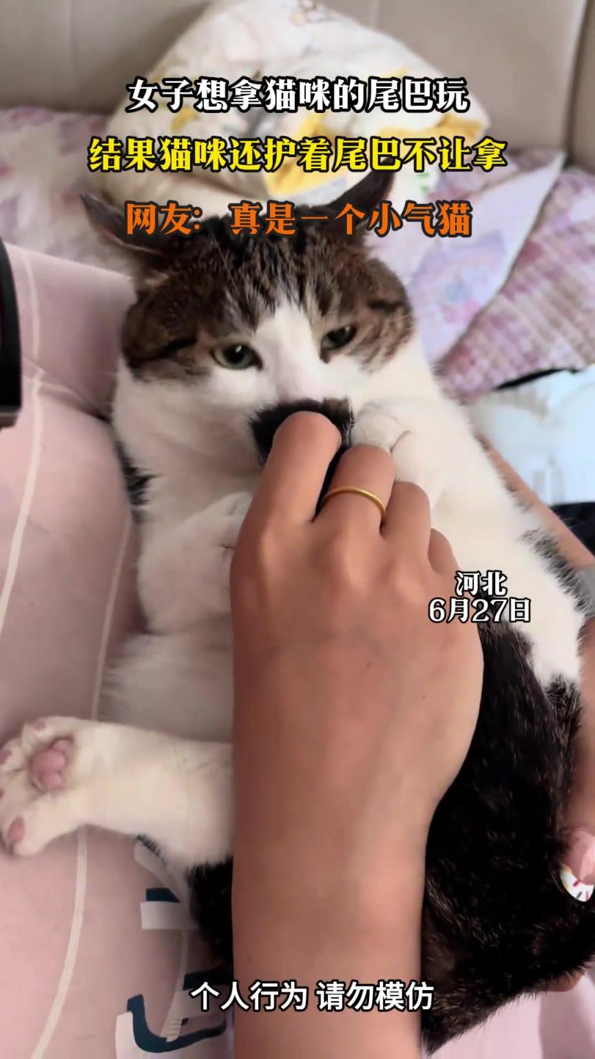 女子想拿貓咪的尾巴玩，結(jié)果貓咪還護著尾巴不讓拿