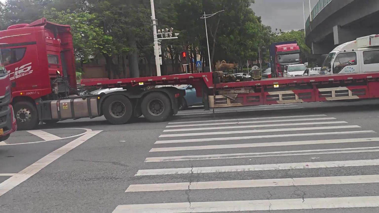 小狗你拿大卡車當(dāng)t臺走呢？