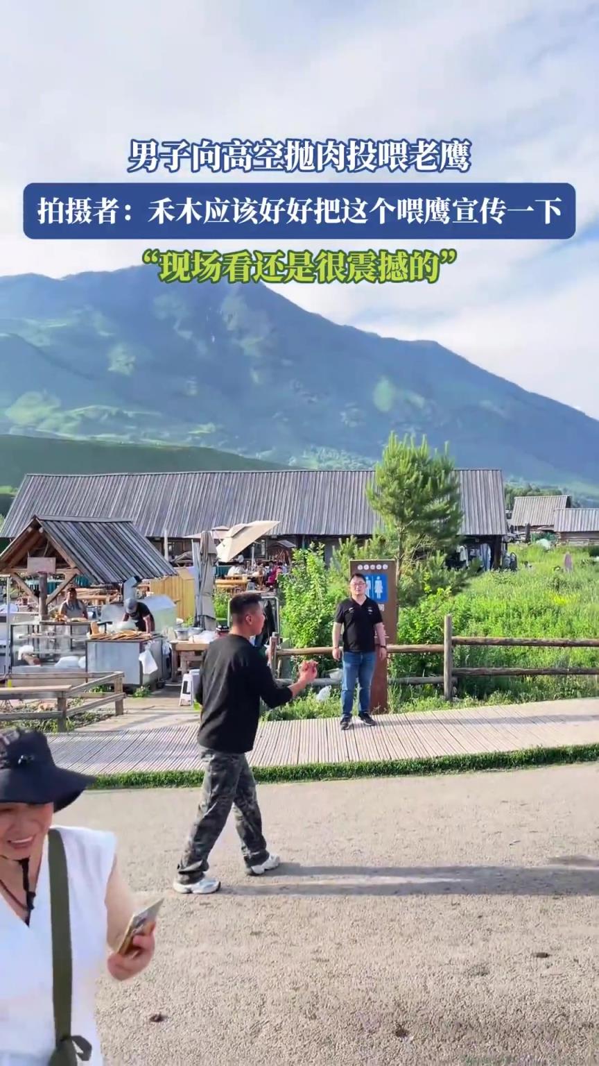 男子向高空拋肉投喂老鷹，拍攝者：現(xiàn)場(chǎng)看還是很震撼的！