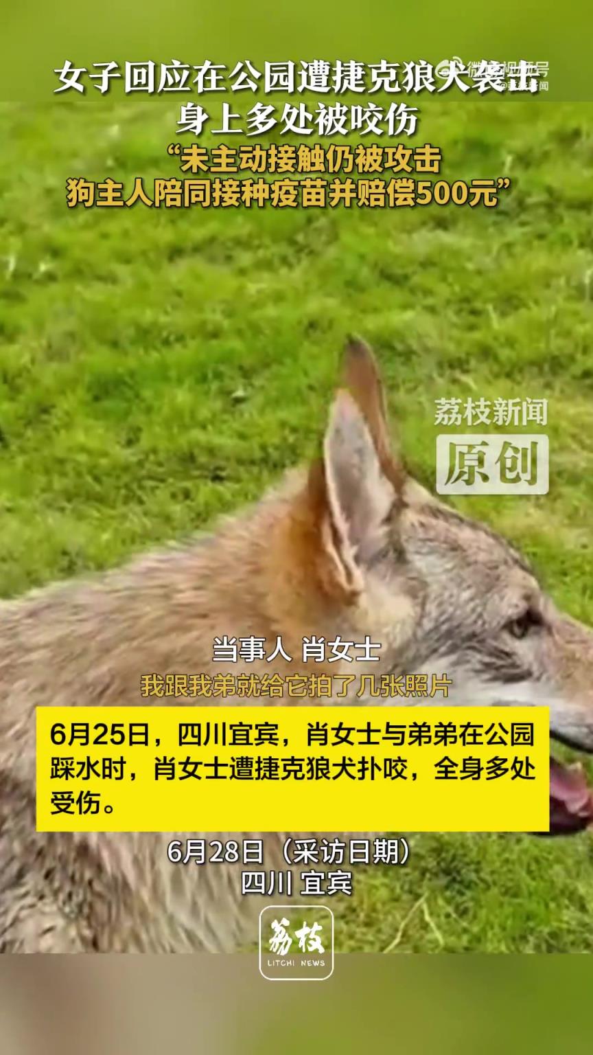 女子遇2只未拴繩捷克狼犬襲擊，全身多處受傷，主人賠償五百
