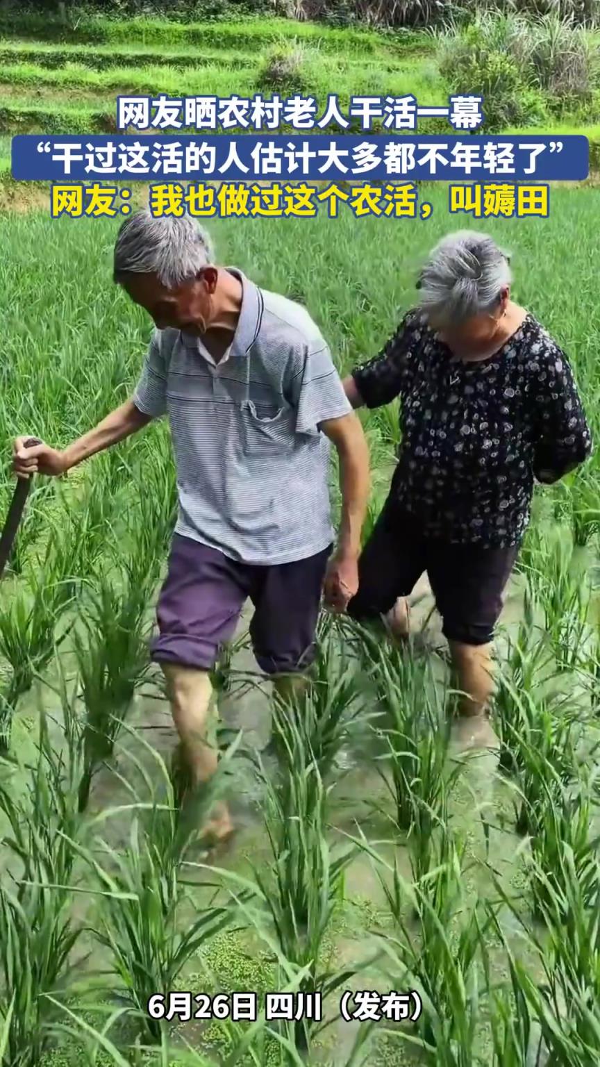 網(wǎng)友曬農(nóng)村老人干活一幕，“干過(guò)這活的人估計(jì)大多都不年輕了”