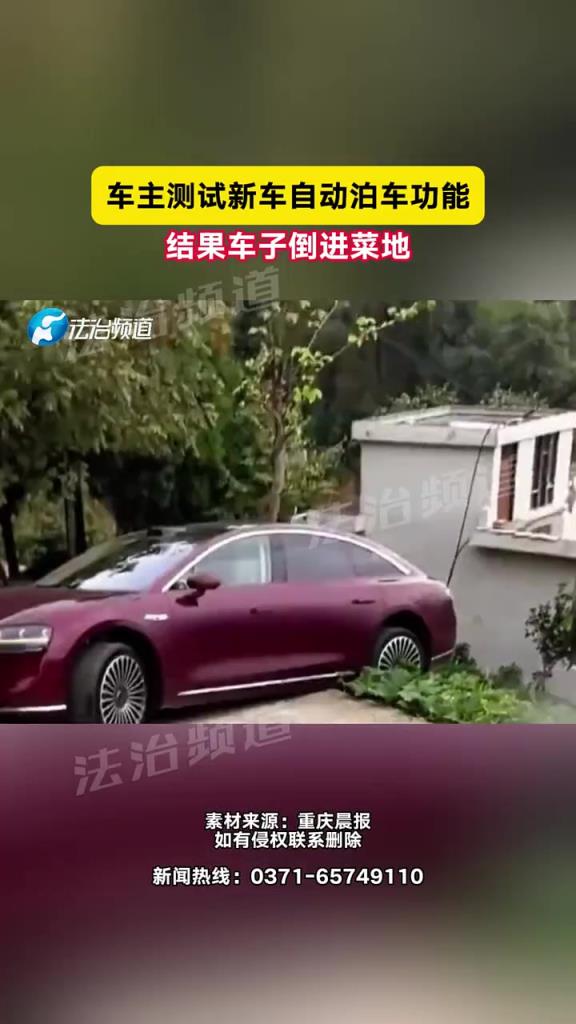 車主測(cè)試新車自動(dòng)泊車功能，結(jié)果車子倒進(jìn)菜地?。?！