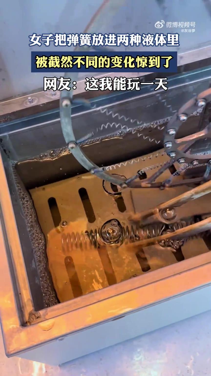女子把彈簧放進(jìn)兩種液體里，被截然不同的變化驚到了