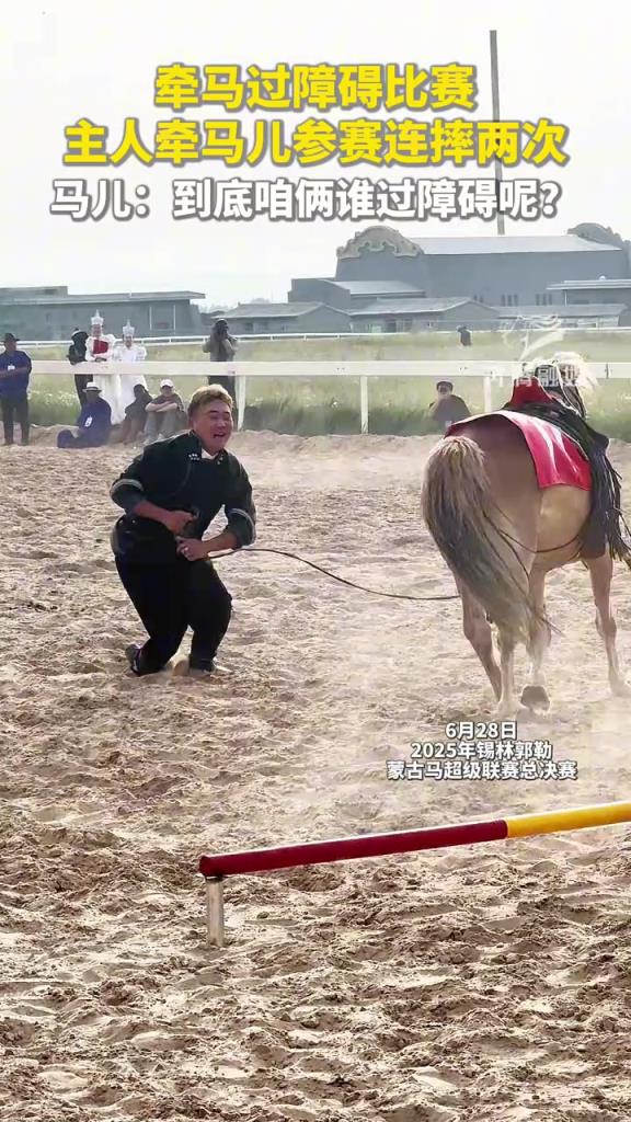 牽馬過(guò)障礙比賽 主人牽馬兒參賽連摔兩次 ！！