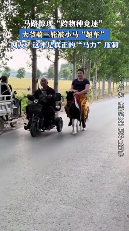 大爺騎三輪被小馬“超車”，這才是真正的“馬力”壓制！