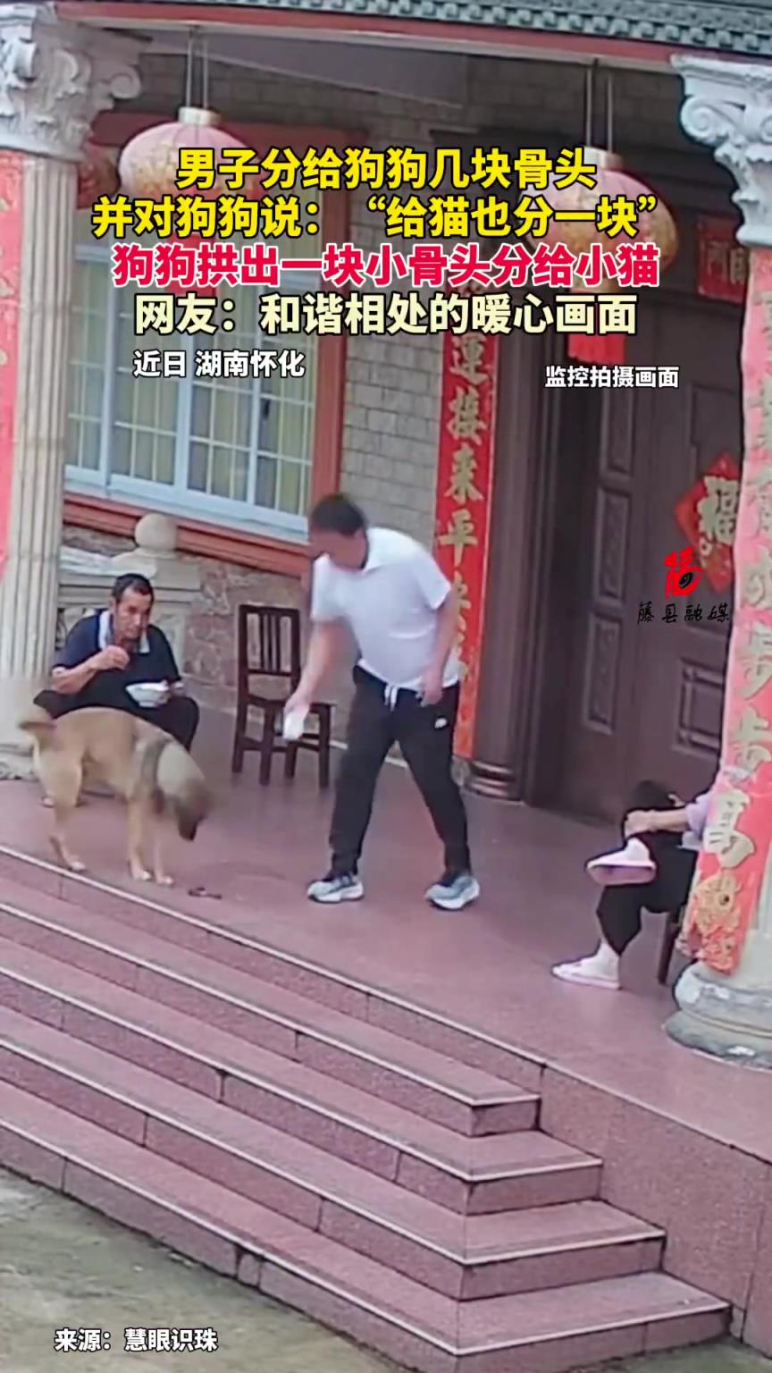男子分給狗狗幾塊骨頭并對狗狗說：“給貓也分一塊”