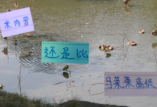 真假马莱莱 没想到进攻端的钥匙是米内罗