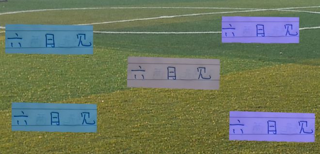 蒋4无缘世预赛18强  如果恢复情况好 申花六月比赛见！