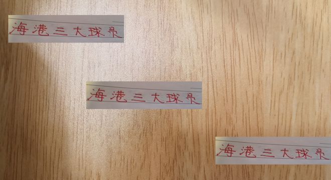 生死战！海港的三大球员蒋光太 颜骏凌 魏震 谁能上