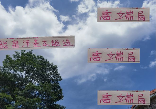 能出去留洋上场 基本能进国家队 北京国安有张玉宁 申花有高天意