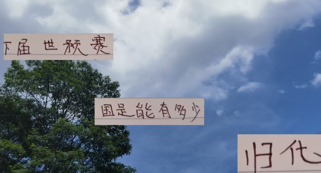 伊万下课！下周期国足能有多少个归化 海港擎天柱蒋光太 还会打吗