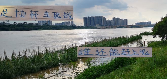 朱辰杰被换下！能赶上足协杯跟海港生死战吗