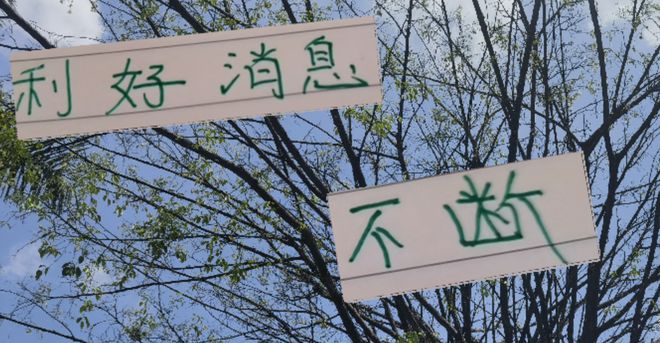 6月份北京國安利好消息不斷！申花+成都不斷有人進傷病名單