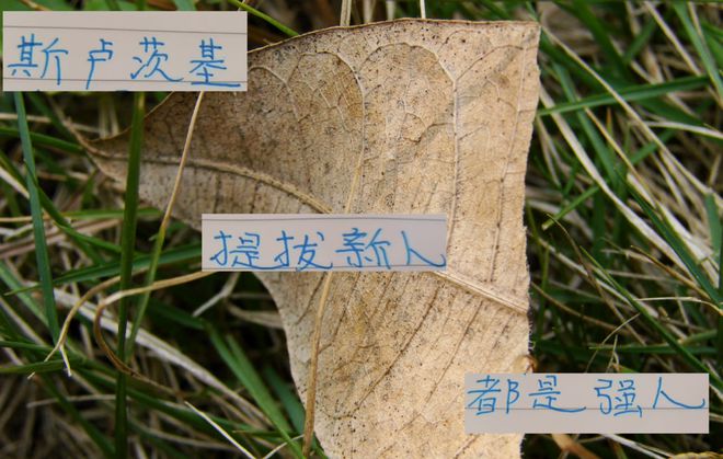 斯盧茨基提拔的新人 就差楊皓宇沒進國足 7月東亞杯有機會嗎