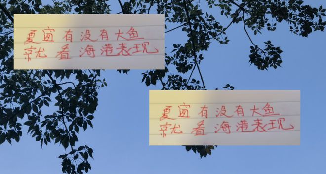 深圳 申花 云南 浙江都引進(jìn)外援國腳 夏窗還沒有大魚 就看海港了