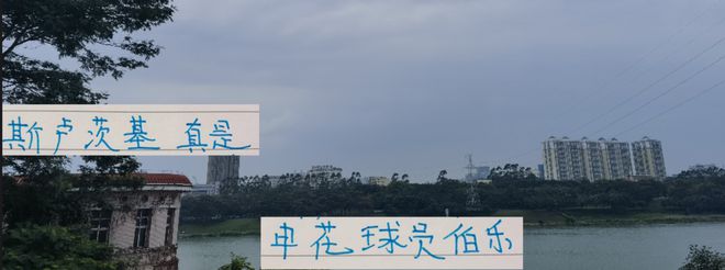 五外援時代劉誠宇都能撈出來 薛慶浩練成了國門 申花教練太帥了