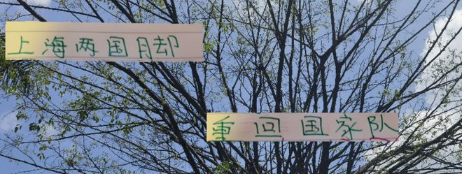 伊萬棄用兩個上海國腳 重見天日 海港是徐新 申花是高天意