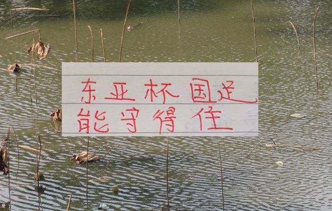 申花大將蔣圣龍因傷缺席國(guó)內(nèi)合練 北京國(guó)安猛將因傷離隊(duì)