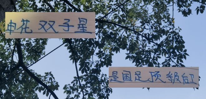 鏟球 卡位 蔣圣龍東亞杯忙死 沒(méi)有申花雙子星 國(guó)足可能輸?shù)酶鼞K