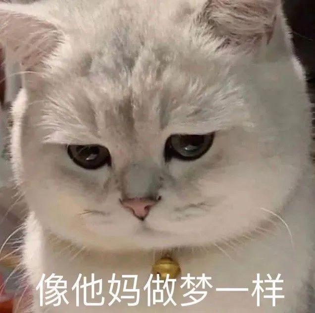 下樹！曼聯(lián)第1簽