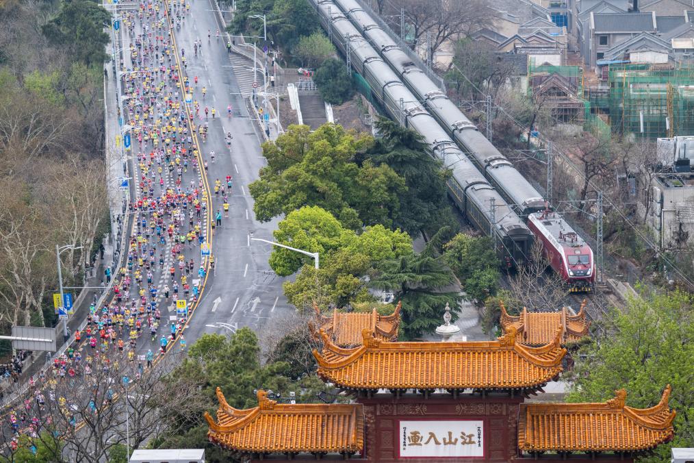 两场“樱花马”跑出中国路跑热度