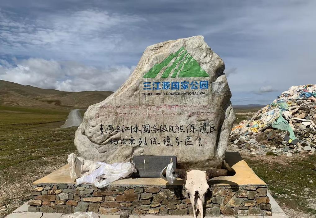 追光丨耳边只有波涛与心跳声 他们在抢渡黄河挑战赛中迎接毕业季