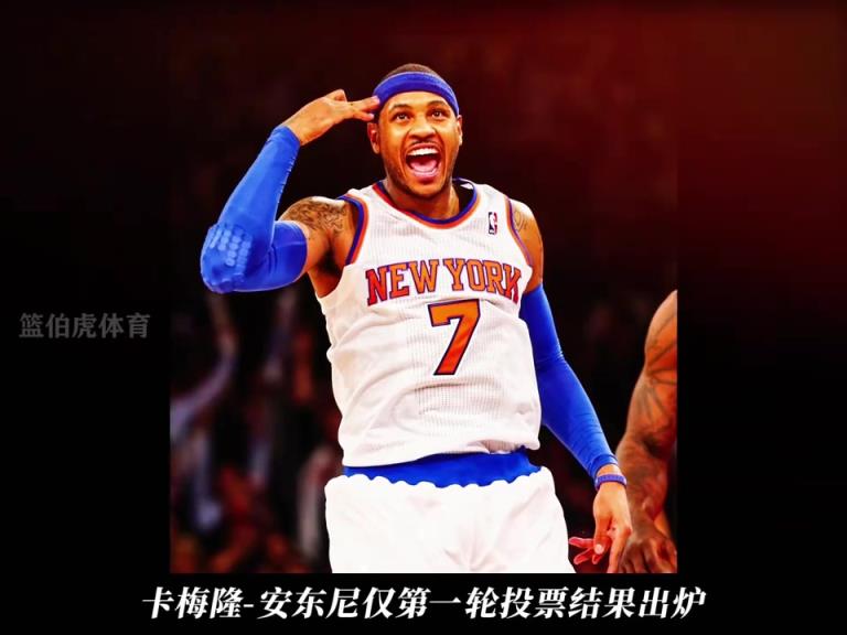 安东尼和麦迪 吧友们觉得谁是名人堂守门员？