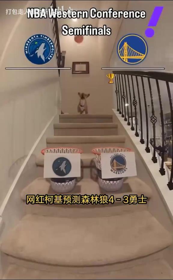 搶七決戰(zhàn)？網(wǎng)紅柯基預(yù)測系列賽走向：森林狼4比3戰(zhàn)勝勇士！