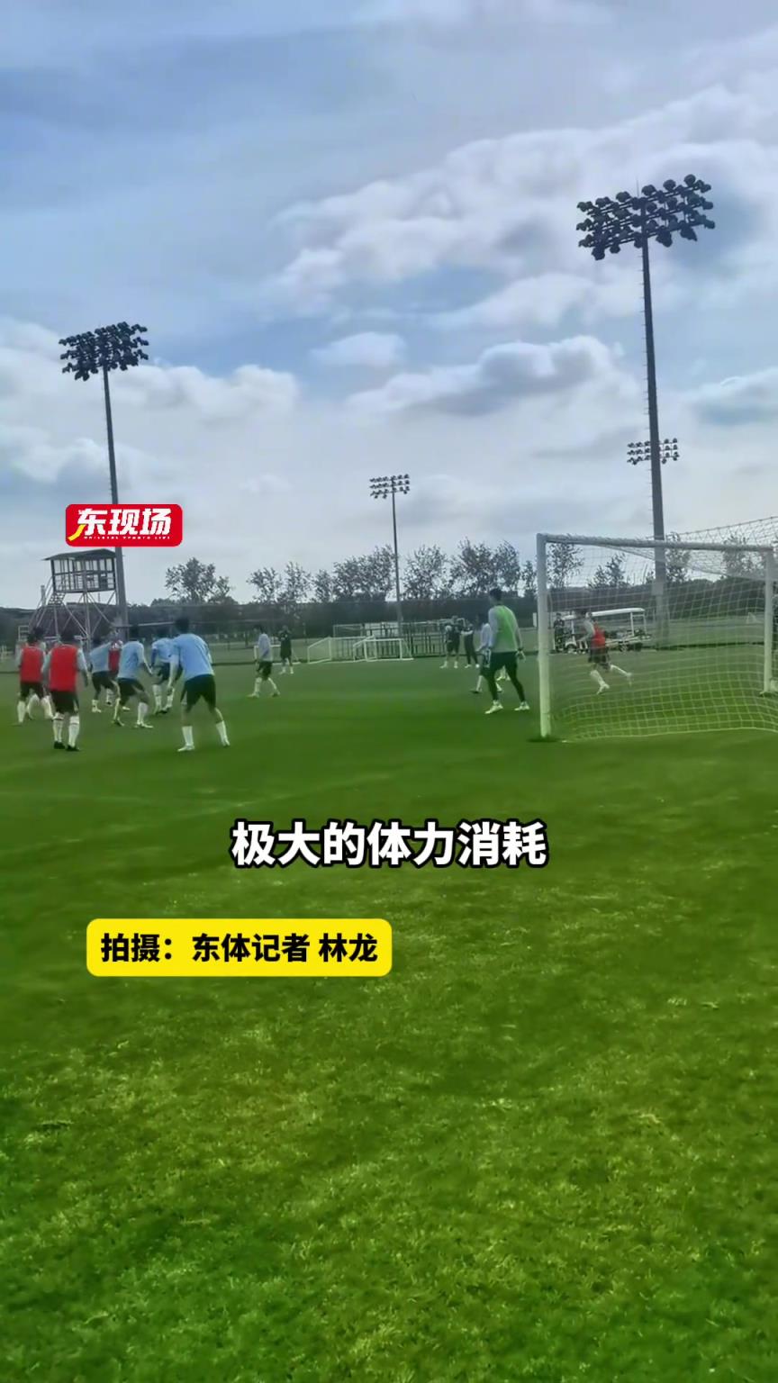 申花傷病潮來襲，路易斯、吳曦缺陣關(guān)鍵戰(zhàn)，小將劉誠宇爆發(fā)成亮點(diǎn)
