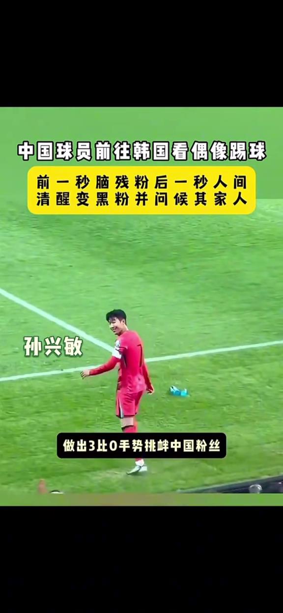 孫興慜女球迷變臉怒罵：CNMDB