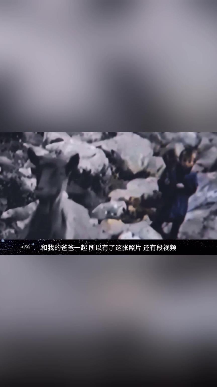 从放羊娃到足坛巨星！中场大师莫德里奇的励志人生！