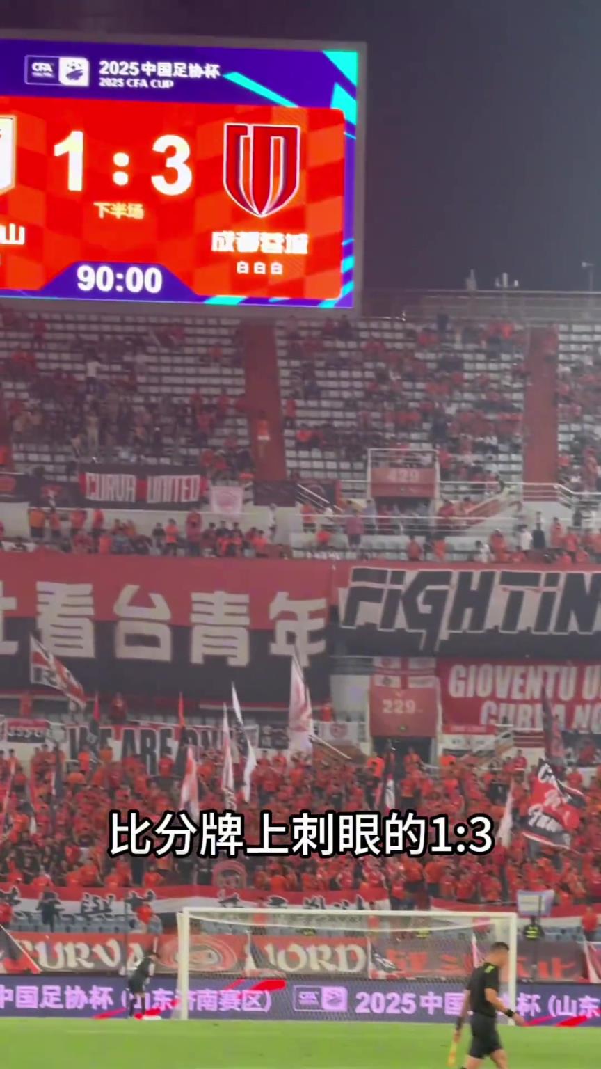 主场1比3不敌成都蓉城无缘足协杯八强,泰山队未来的路该何去何从?